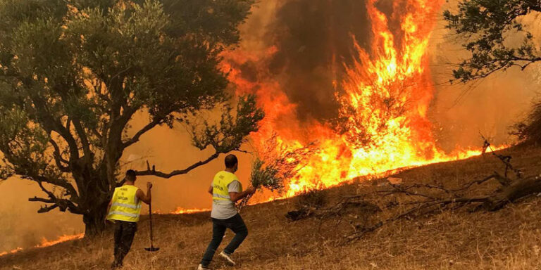Incendies Kabylie été 2023