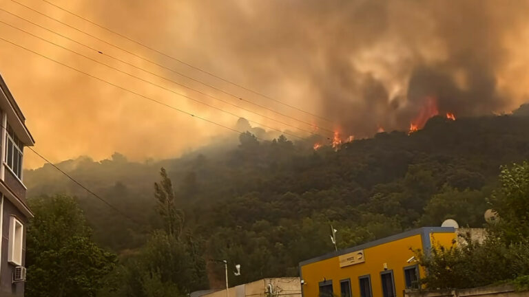 Incendies Kabylie 2026